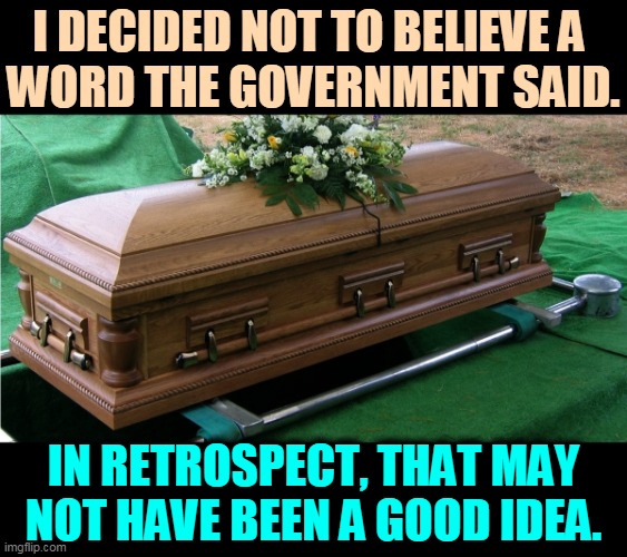 Dept. of Bad Decisions | I DECIDED NOT TO BELIEVE A 
WORD THE GOVERNMENT SAID. IN RETROSPECT, THAT MAY NOT HAVE BEEN A GOOD IDEA. | image tagged in anti vax,stupid,dead | made w/ Imgflip meme maker