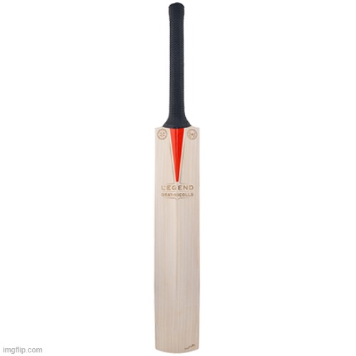 cricket bat | image tagged in cricket bat | made w/ Imgflip meme maker