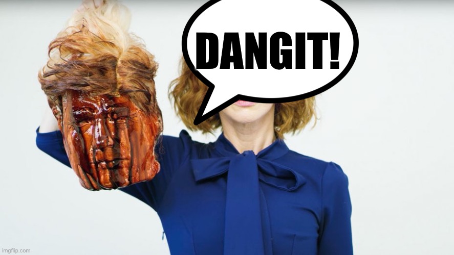 Kathy Griffin | DANGIT! | image tagged in kathy griffin | made w/ Imgflip meme maker