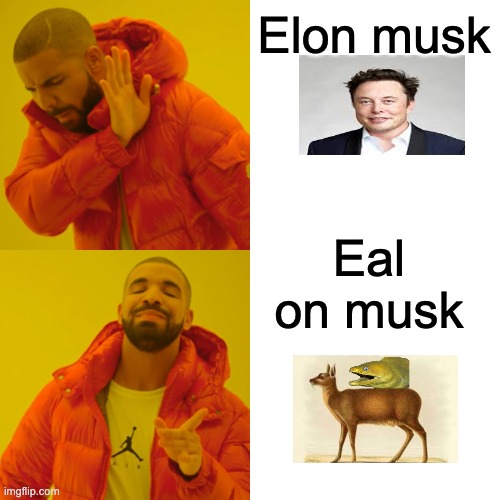 Drake Hotline Bling Meme | Elon musk; Eal on musk | image tagged in memes,drake hotline bling | made w/ Imgflip meme maker