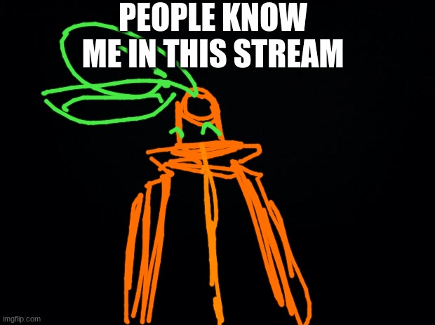 like, people will reference tangerine's name in memes- i feel like the popular kid when i was in elementary lol | PEOPLE KNOW ME IN THIS STREAM | image tagged in black background | made w/ Imgflip meme maker