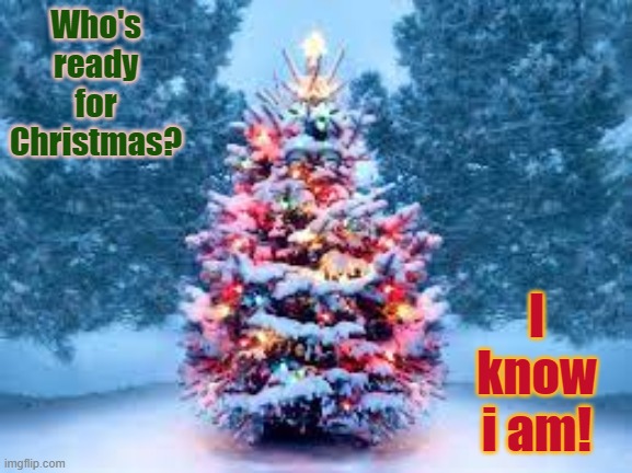 I can't wait!!! | I know i am! Who's ready for Christmas? | image tagged in snowy christmas tree | made w/ Imgflip meme maker