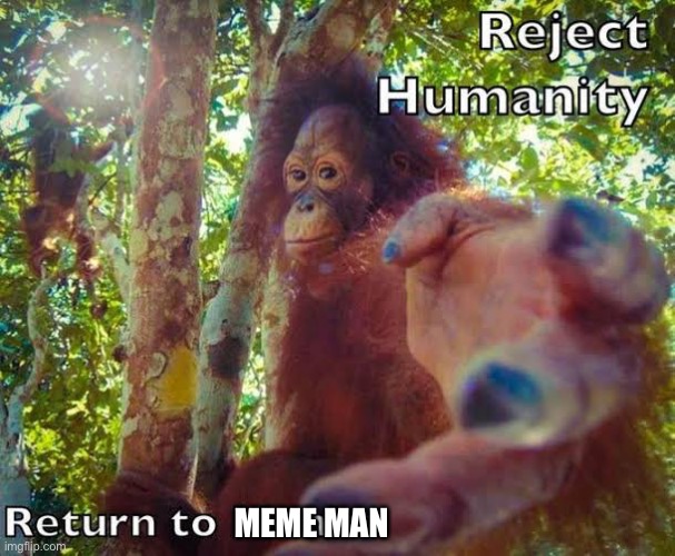 Memanity | MEME MAN | image tagged in return to monke,embrace meme kan,meme man,reject humanity | made w/ Imgflip meme maker