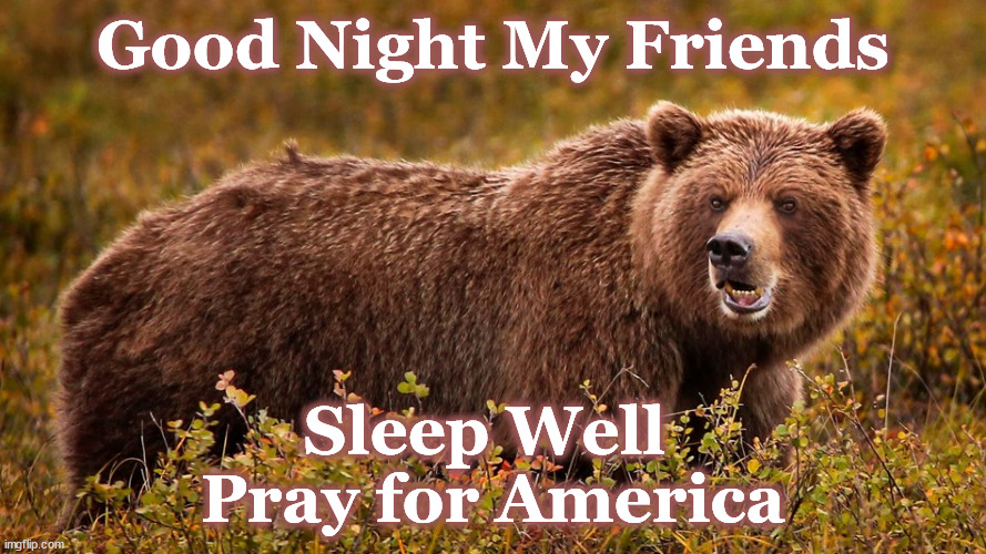 bear | Good Night My Friends; Sleep Well 
Pray for America | image tagged in bear | made w/ Imgflip meme maker