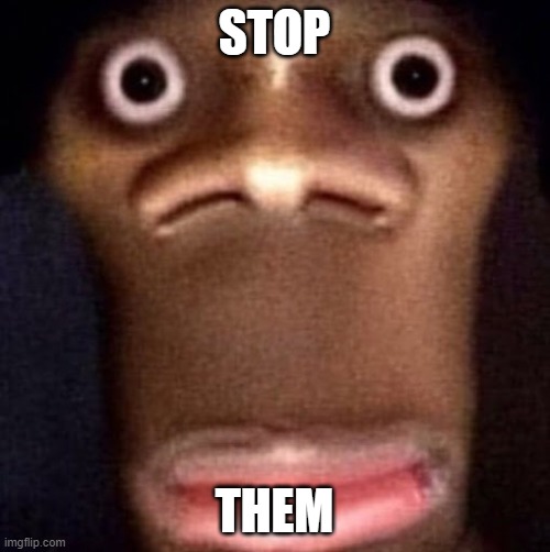 Bruh | STOP THEM | image tagged in bruh | made w/ Imgflip meme maker