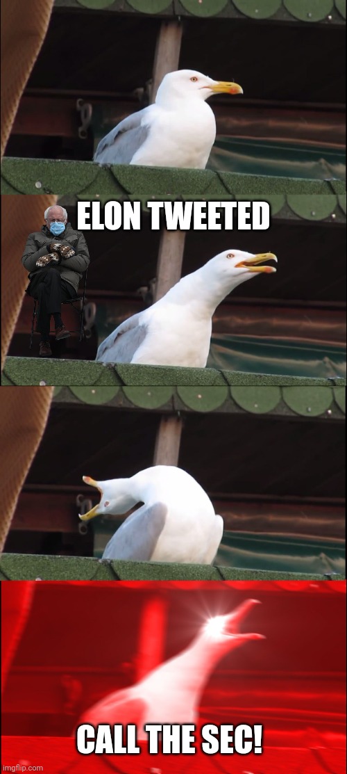 Inhaling Seagull Meme | ELON TWEETED CALL THE SEC! | image tagged in memes,inhaling seagull | made w/ Imgflip meme maker