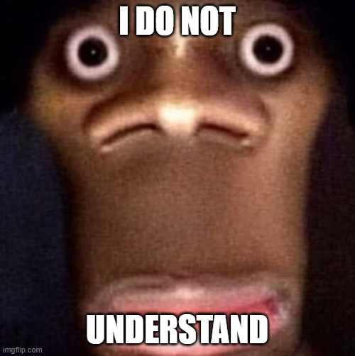 Bruh | I DO NOT UNDERSTAND | image tagged in bruh | made w/ Imgflip meme maker