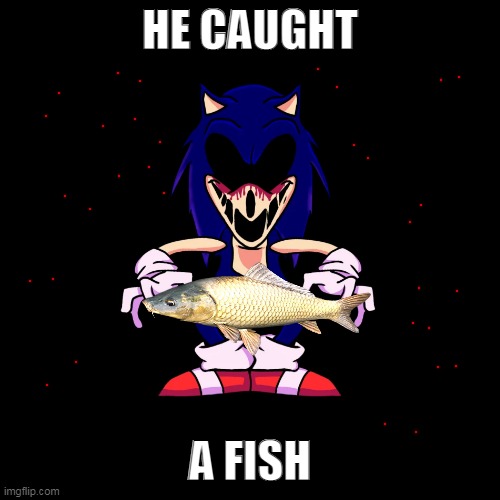 he caught a fish. im so happy for him. | HE CAUGHT; A FISH | image tagged in sonic | made w/ Imgflip meme maker