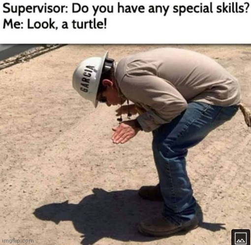 Your Hired! | image tagged in memes,special skills,turtle | made w/ Imgflip meme maker