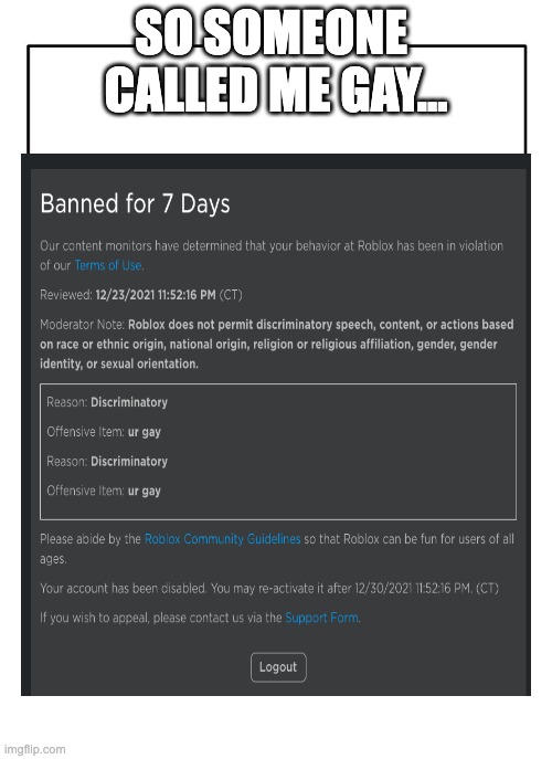 why roblox WHY | SO SOMEONE 
CALLED ME GAY... | image tagged in banned from roblox | made w/ Imgflip meme maker