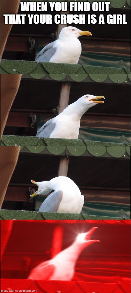 every wlw first crush ever | WHEN YOU FIND OUT THAT YOUR CRUSH IS A GIRL | image tagged in memes,inhaling seagull | made w/ Imgflip meme maker