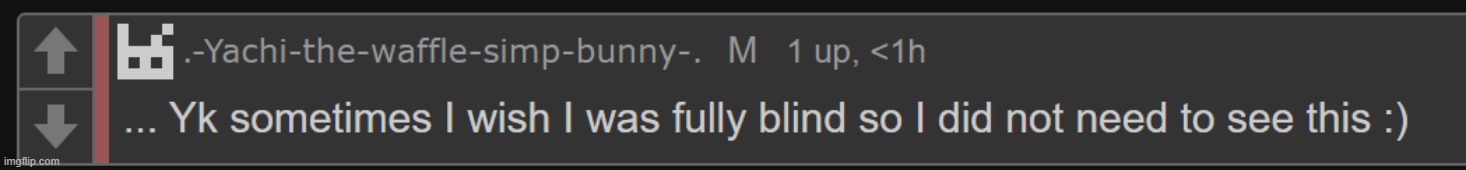 fully blind | image tagged in fully blind | made w/ Imgflip meme maker