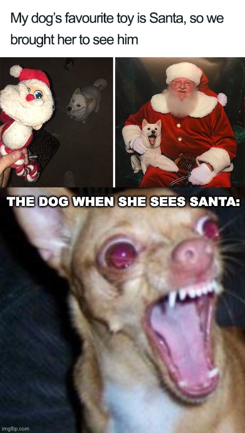 Flip, Flart, time to rip him apart. | THE DOG WHEN SHE SEES SANTA: | image tagged in memes,unfunny | made w/ Imgflip meme maker