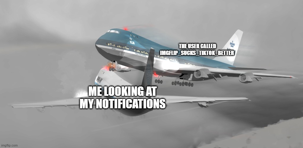 https://imgflip.com/user/IMGFLIP_SUCKS_TIKTOK_BETTER why | THE USER CALLED IMGFLIP_SUCKS_TIKTOK_BETTER; ME LOOKING AT MY NOTIFICATIONS | image tagged in pan am 1736 vs klm 4805 | made w/ Imgflip meme maker