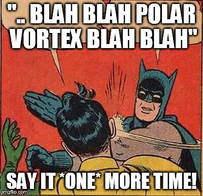 Batman Slapping Robin Meme | ".. BLAH BLAH POLAR VORTEX BLAH BLAH" SAY IT *ONE* MORE TIME! | image tagged in memes,batman slapping robin | made w/ Imgflip meme maker