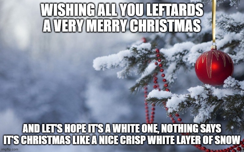 Snowy winter holiday | WISHING ALL YOU LEFTARDS A VERY MERRY CHRISTMAS; AND LET'S HOPE IT'S A WHITE ONE, NOTHING SAYS IT'S CHRISTMAS LIKE A NICE CRISP WHITE LAYER OF SNOW | image tagged in snowy winter holiday | made w/ Imgflip meme maker