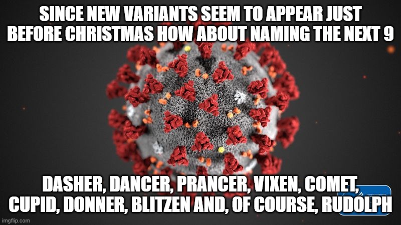 Covid 19 | SINCE NEW VARIANTS SEEM TO APPEAR JUST BEFORE CHRISTMAS HOW ABOUT NAMING THE NEXT 9; DASHER, DANCER, PRANCER, VIXEN, COMET, CUPID, DONNER, BLITZEN AND, OF COURSE, RUDOLPH | image tagged in covid 19 | made w/ Imgflip meme maker