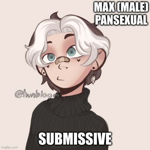 MAX (MALE)
PANSEXUAL; SUBMISSIVE | made w/ Imgflip meme maker