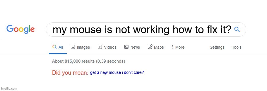 this happened to me now so im using touchpad | my mouse is not working how to fix it? get a new mouse i don't care? | image tagged in did you mean,mouse,no one cares | made w/ Imgflip meme maker