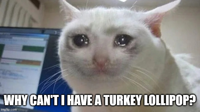 Cat cry | WHY CAN'T I HAVE A TURKEY LOLLIPOP? | image tagged in cat cry | made w/ Imgflip meme maker