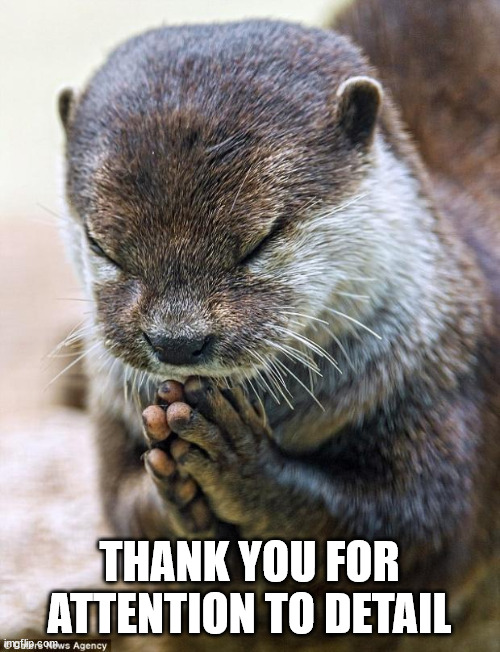 Thank you Lord Otter | THANK YOU FOR ATTENTION TO DETAIL | image tagged in thank you lord otter | made w/ Imgflip meme maker