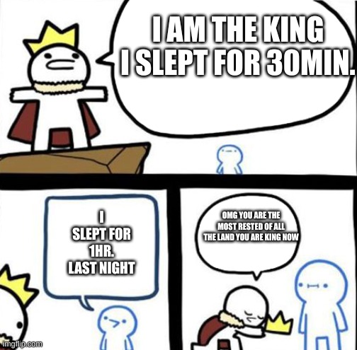 My every night | I AM THE KING I SLEPT FOR 30MIN. I SLEPT FOR 1HR. LAST NIGHT; OMG YOU ARE THE MOST RESTED OF ALL THE LAND YOU ARE KING NOW | image tagged in dumbest man alive | made w/ Imgflip meme maker