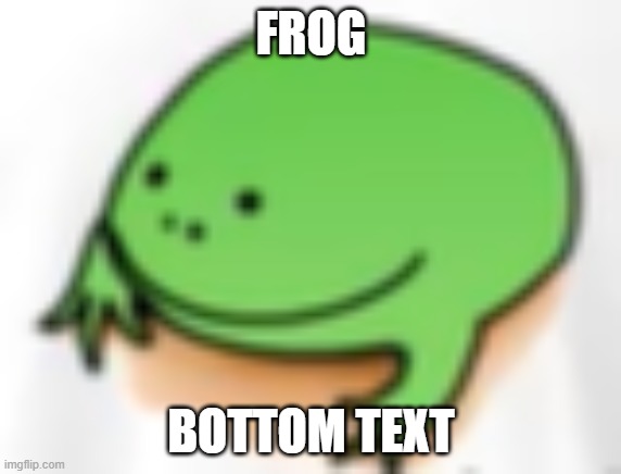Frog (From Phoenix SC) | FROG; BOTTOM TEXT | image tagged in frog | made w/ Imgflip meme maker