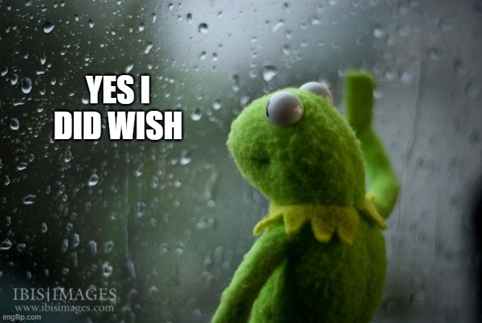 kermit window | YES I DID WISH | image tagged in kermit window | made w/ Imgflip meme maker