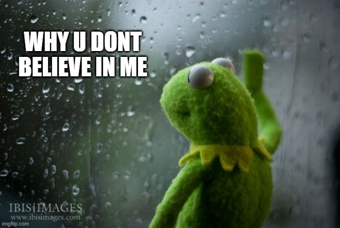 kermit window | WHY U DONT BELIEVE IN ME | image tagged in kermit window | made w/ Imgflip meme maker