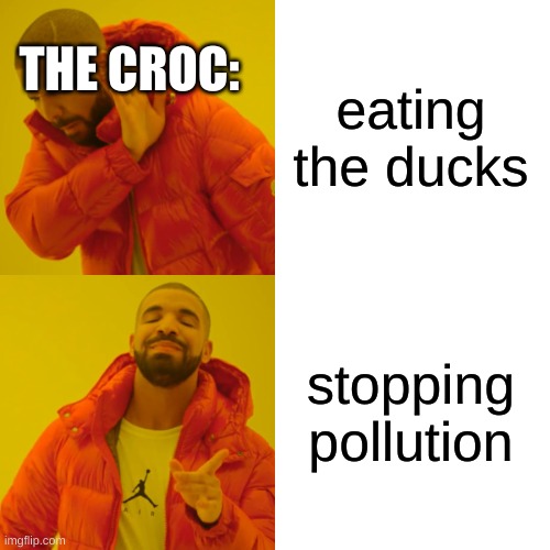Drake Hotline Bling Meme | eating the ducks stopping pollution THE CROC: | image tagged in memes,drake hotline bling | made w/ Imgflip meme maker