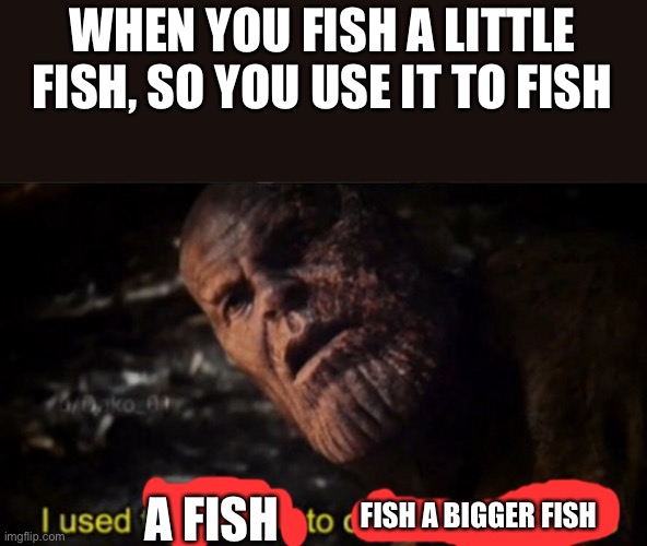 Thanos I used the stones to destroy the stones | WHEN YOU FISH A LITTLE FISH, SO YOU USE IT TO FISH; FISH A BIGGER FISH; A FISH | image tagged in thanos i used the stones to destroy the stones,fishao,fishing,funny,memes | made w/ Imgflip meme maker