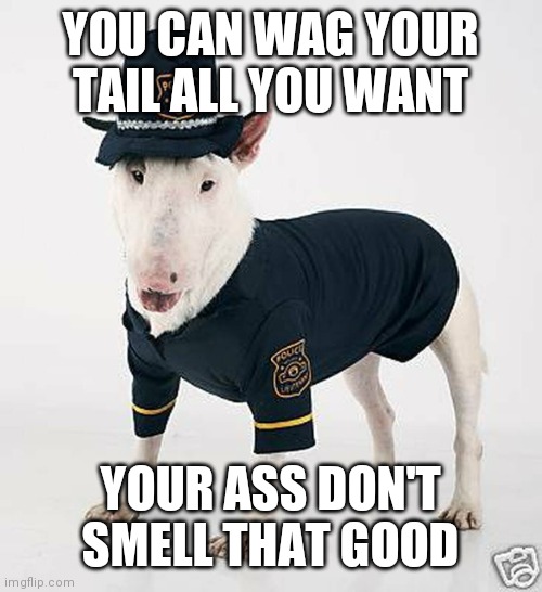dog in cop uniform | YOU CAN WAG YOUR TAIL ALL YOU WANT YOUR ASS DON'T SMELL THAT GOOD | image tagged in dog in cop uniform | made w/ Imgflip meme maker
