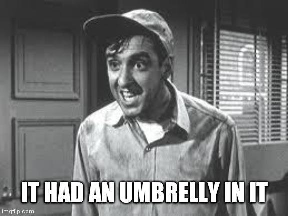 Gomer Pyle | IT HAD AN UMBRELLY IN IT | image tagged in gomer pyle | made w/ Imgflip meme maker