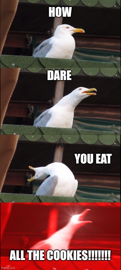 Inhaling Seagull | HOW; DARE; YOU EAT; ALL THE COOKIES!!!!!!! | image tagged in memes,inhaling seagull | made w/ Imgflip meme maker