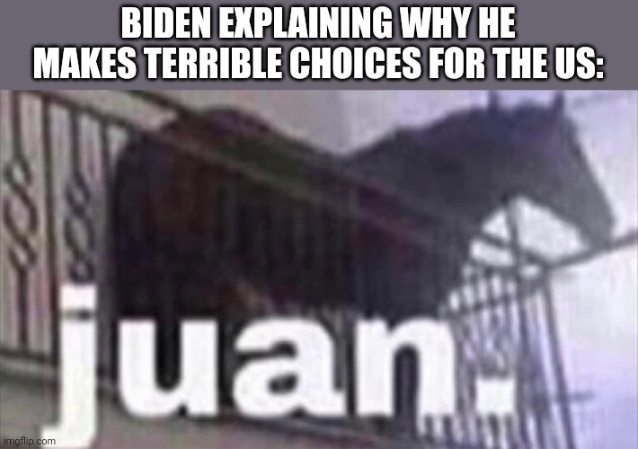 Juan horse | BIDEN EXPLAINING WHY HE MAKES TERRIBLE CHOICES FOR THE US: | image tagged in juan horse | made w/ Imgflip meme maker