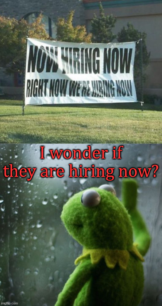 I wonder if they are hiring now? | image tagged in sometimes i wonder | made w/ Imgflip meme maker