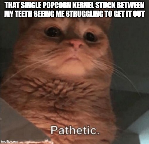 Very pathetic indeed | THAT SINGLE POPCORN KERNEL STUCK BETWEEN MY TEETH SEEING ME STRUGGLING TO GET IT OUT | image tagged in pathetic cat | made w/ Imgflip meme maker