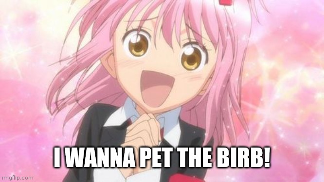 aww anime girl | I WANNA PET THE BIRB! | image tagged in aww anime girl | made w/ Imgflip meme maker