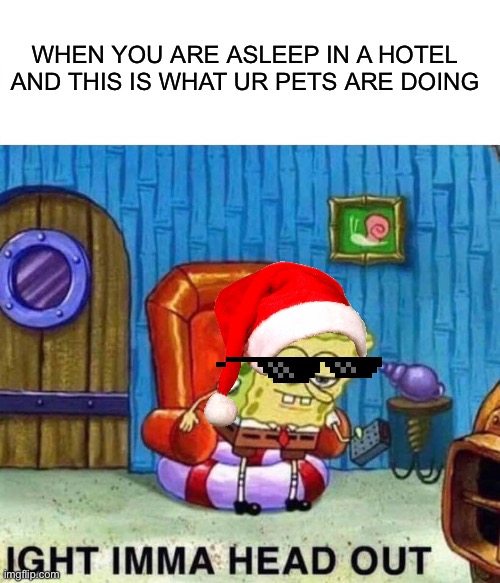 Spongebob Ight Imma Head Out Meme |  WHEN YOU ARE ASLEEP IN A HOTEL AND THIS IS WHAT UR PETS ARE DOING | image tagged in memes,spongebob ight imma head out | made w/ Imgflip meme maker