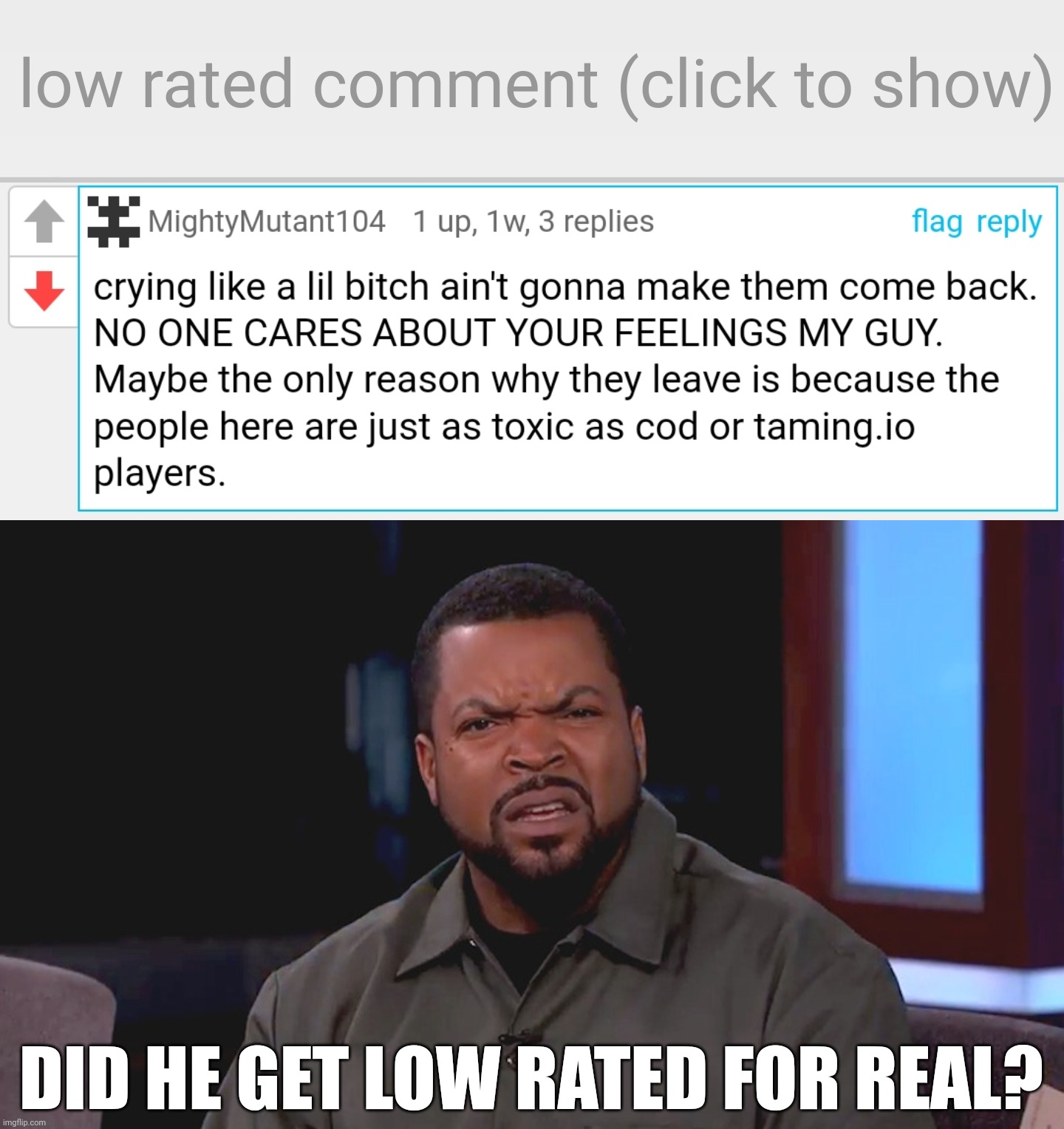 He got low rated for nothing? | DID HE GET LOW RATED FOR REAL? | image tagged in low-rated comment imgflip,really ice cube | made w/ Imgflip meme maker