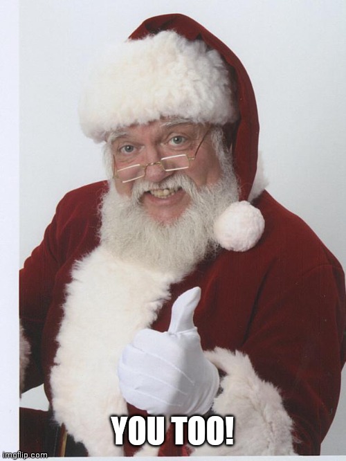 Thumbs Up Santa | YOU TOO! | image tagged in thumbs up santa | made w/ Imgflip meme maker