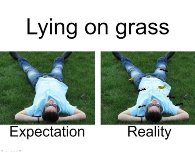 image tagged in memes,grass,expectation vs reality | made w/ Imgflip meme maker