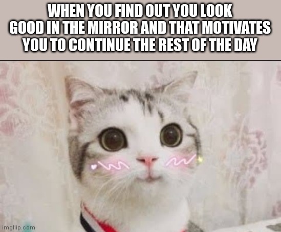 cute cat uwu | WHEN YOU FIND OUT YOU LOOK GOOD IN THE MIRROR AND THAT MOTIVATES YOU TO CONTINUE THE REST OF THE DAY | image tagged in cute cat uwu,anti depression,motivation,cats,kittens,memes | made w/ Imgflip meme maker