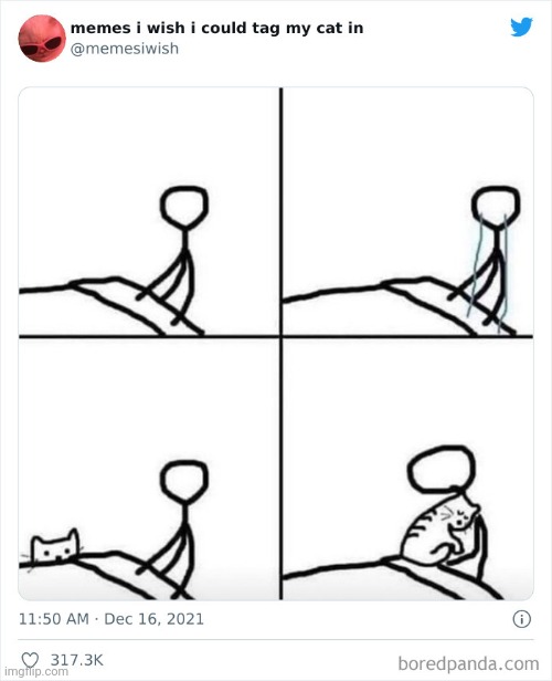 How it works for some people | image tagged in cats | made w/ Imgflip meme maker