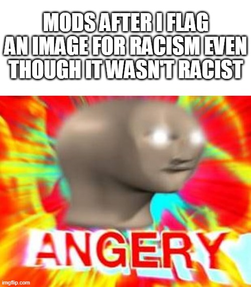 pls mods i have sinned dont ban me forgive me oh msmg mods the almighty | MODS AFTER I FLAG AN IMAGE FOR RACISM EVEN THOUGH IT WASN'T RACIST | image tagged in surreal angery | made w/ Imgflip meme maker
