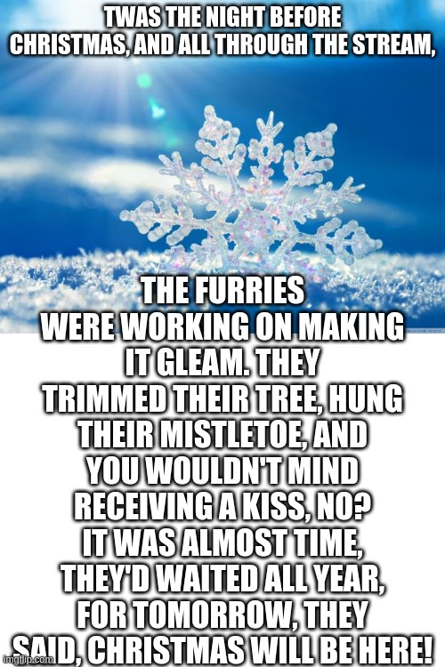 An original poem, by me. Happy PAWlidays! | THE FURRIES WERE WORKING ON MAKING IT GLEAM. THEY TRIMMED THEIR TREE, HUNG THEIR MISTLETOE, AND YOU WOULDN'T MIND RECEIVING A KISS, NO? IT WAS ALMOST TIME, THEY'D WAITED ALL YEAR, FOR TOMORROW, THEY SAID, CHRISTMAS WILL BE HERE! TWAS THE NIGHT BEFORE CHRISTMAS, AND ALL THROUGH THE STREAM, | image tagged in snowflake,blank white template | made w/ Imgflip meme maker