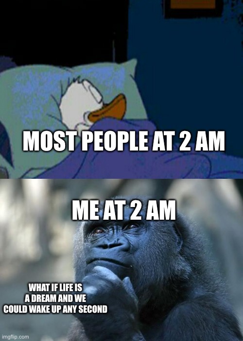 there was also when I considered maybe the moon is glowing and the sun is reflecting the light | MOST PEOPLE AT 2 AM; ME AT 2 AM; WHAT IF LIFE IS A DREAM AND WE COULD WAKE UP ANY SECOND | image tagged in sleepy donald duck in bed,deep thoughts,memes,meme,weird,sleep | made w/ Imgflip meme maker