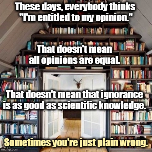 These days, everybody thinks 
"I'm entitled to my opinion."; That doesn't mean all opinions are equal. That doesn't mean that ignorance is as good as scientific knowledge. Sometimes you're just plain wrong. | image tagged in ignorant,opinion,not scientifically possible,idiots | made w/ Imgflip meme maker
