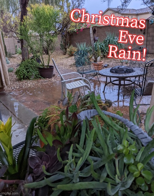 Christmas Eve Rain | Christmas 
Eve 
Rain! | image tagged in christmas,rain | made w/ Imgflip meme maker