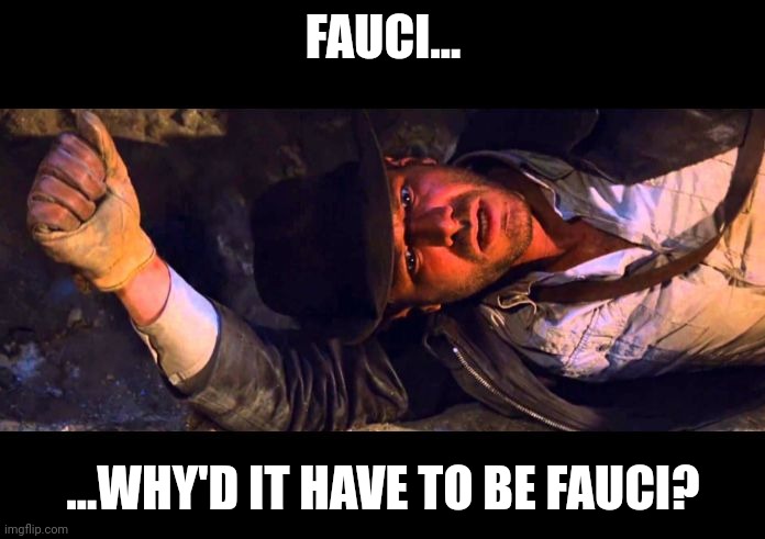 Indiana Jones Why'd It Have to be Snakes | FAUCI... ...WHY'D IT HAVE TO BE FAUCI? | image tagged in indiana jones why'd it have to be snakes | made w/ Imgflip meme maker